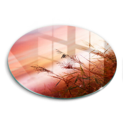 Tábua de vidro Paisagem de campos de grama