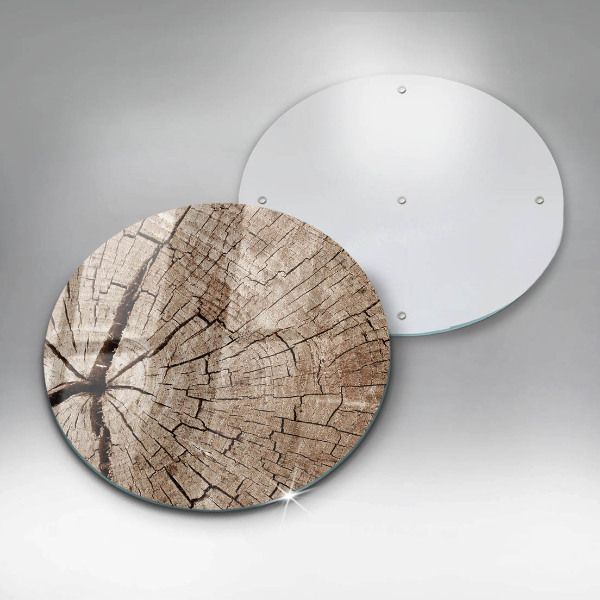 Tábua de corte Seção transversal de uma árvore