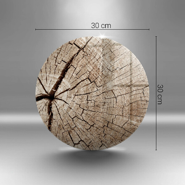 Tábua de corte Seção transversal de uma árvore