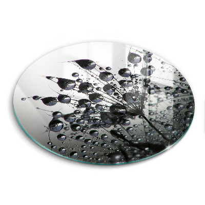 Tábua corte Dente-de-leão e orvalho