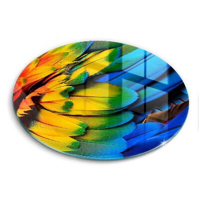 Tábua de vidro Penas coloridas de papagaio