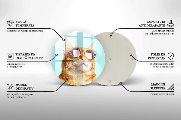 Tábua de cortar de vidro Um gato ruivo com óculos