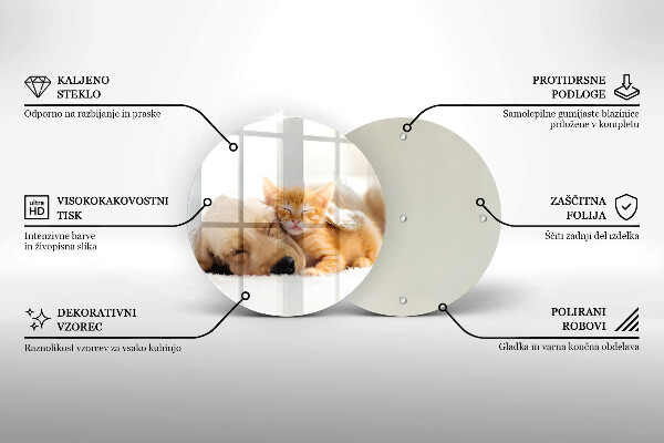 Tábua corte Animais cão e gato