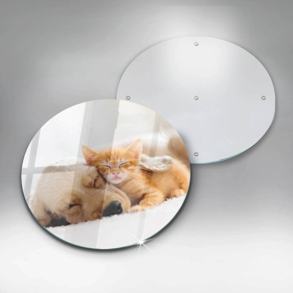 Tábua corte Animais cão e gato