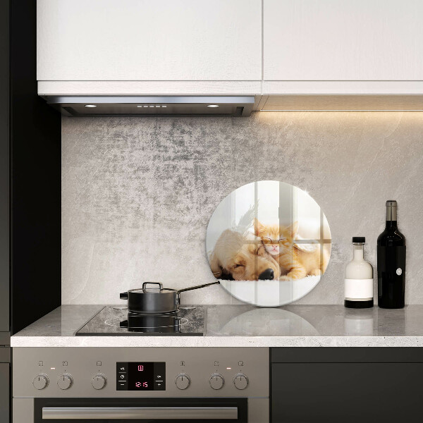 Tábua corte Animais cão e gato