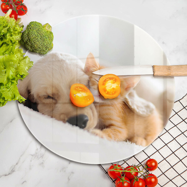 Tábua corte Animais cão e gato