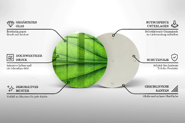 Tábua corte Natureza das nervuras das folhas