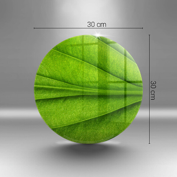 Tábua corte Natureza das nervuras das folhas