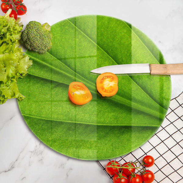 Tábua corte Natureza das nervuras das folhas