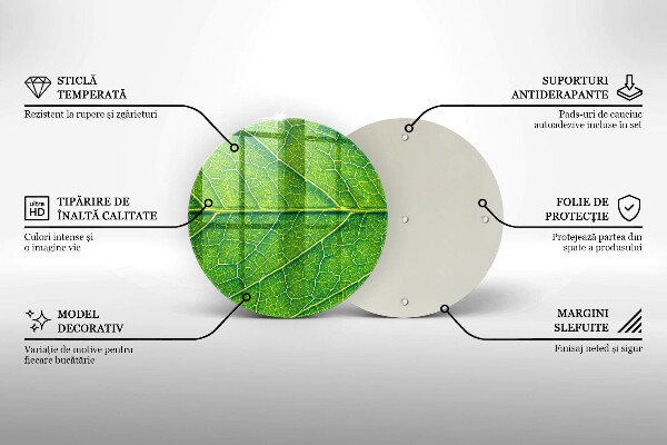 Tábua de corte de vidro Natureza das nervuras das folhas