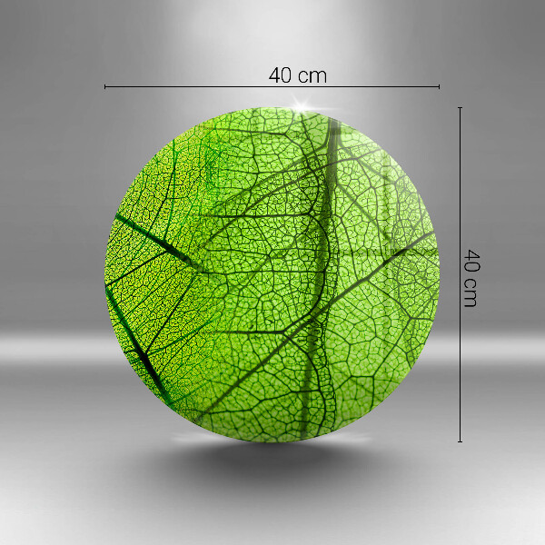 Tábua de vidro Natureza das nervuras das folhas