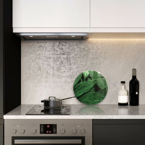 Tábua de vidro As folhas da planta