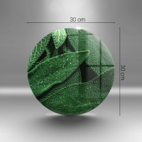 Tábua de vidro As folhas da planta