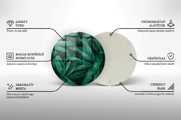 Tábua para corte Folhas de plantas