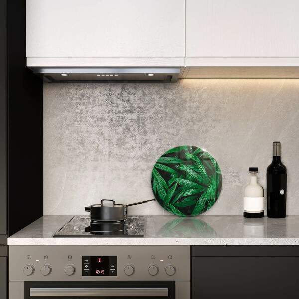 Tábua para corte Folhas de plantas