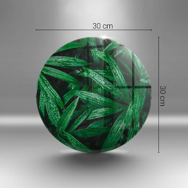 Tábua para corte Folhas de plantas