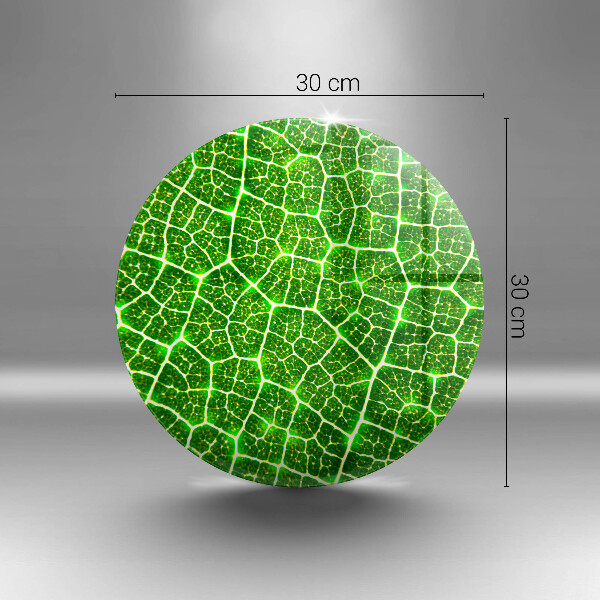 Tábua cozinha Estrutura da folha