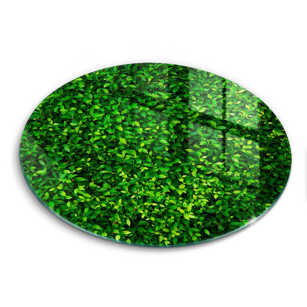 Tábua de corte Planta com folhas pequenas