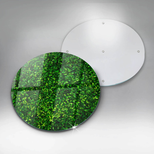 Tábua de corte Planta com folhas pequenas