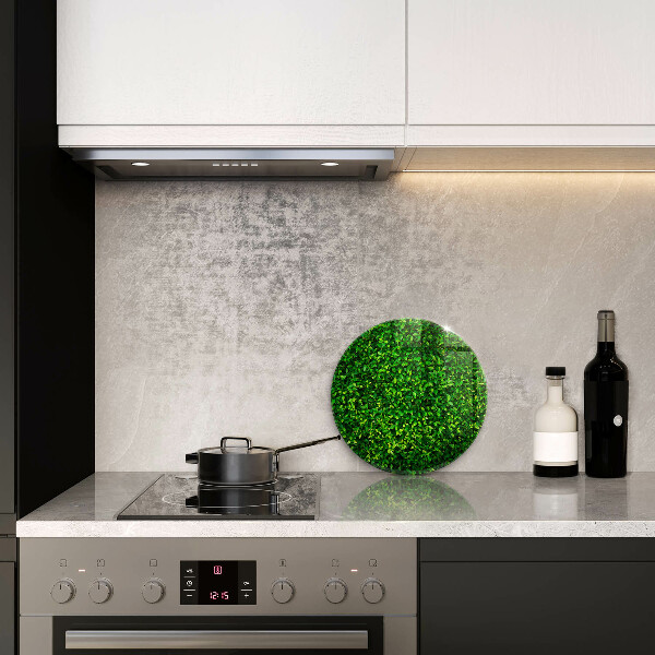 Tábua de corte Planta com folhas pequenas