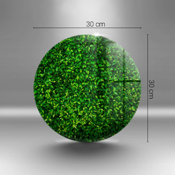 Tábua de corte Planta com folhas pequenas