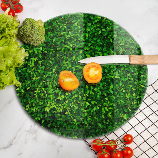 Tábua de corte Planta com folhas pequenas