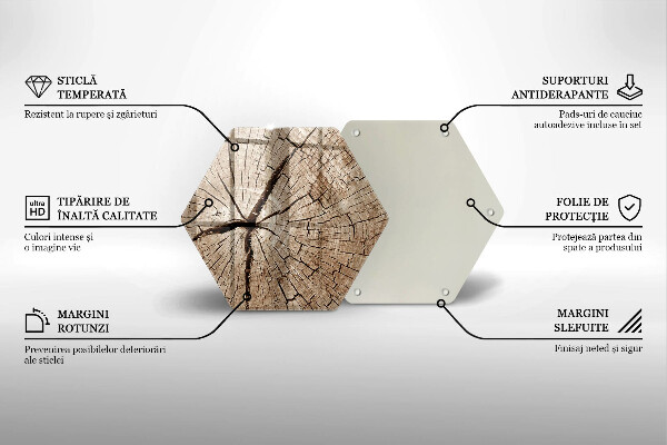Tábua de cortar Seção transversal de uma árvore