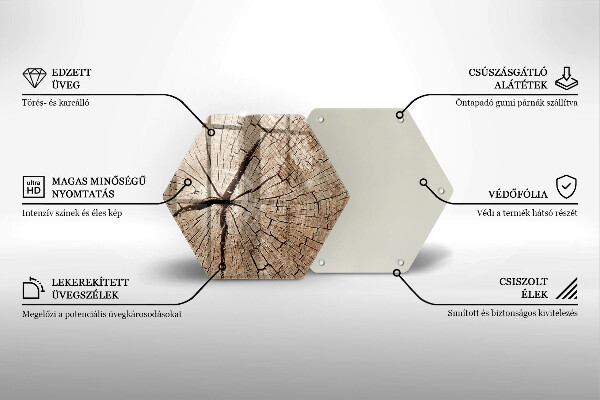 Tábua de cortar Seção transversal de uma árvore