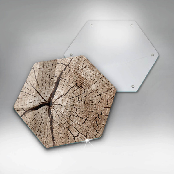 Tábua de cortar Seção transversal de uma árvore