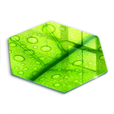 Tábua de cortar Close-up de uma folha