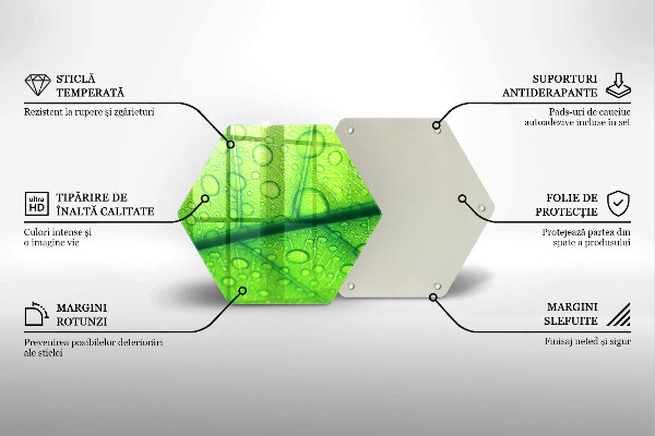 Tábua de cortar Close-up de uma folha