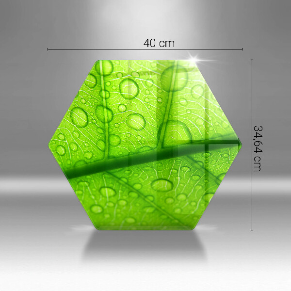 Tábua de cortar Close-up de uma folha