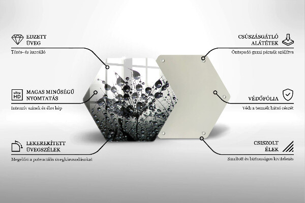 Tábua corte Dente-de-leão e orvalho