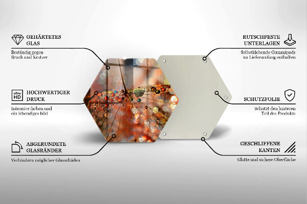 Tábua corte Dente-de-leão molhado
