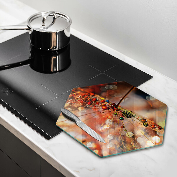 Tábua corte Dente-de-leão molhado