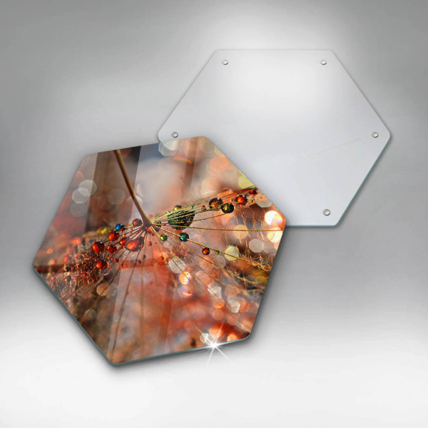 Tábua corte Dente-de-leão molhado