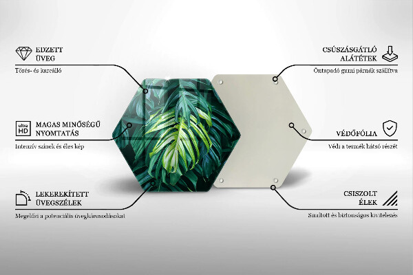 Tábua de vidro Folhas de monstera selvagem