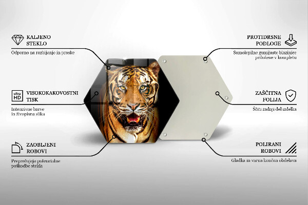 Tábua corte Tigre animal selvagem