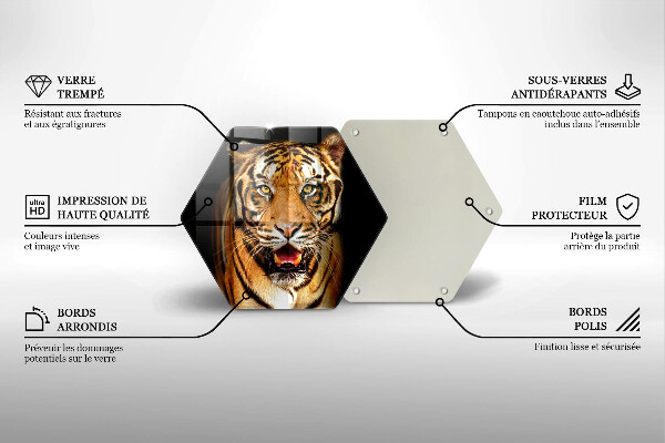 Tábua corte Tigre animal selvagem