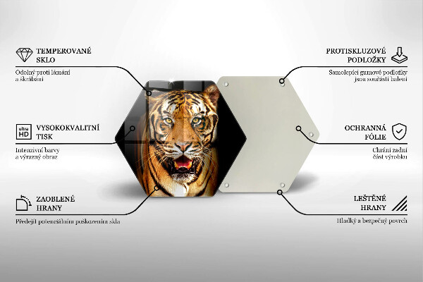 Tábua corte Tigre animal selvagem