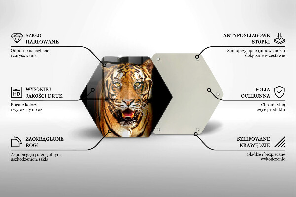 Tábua corte Tigre animal selvagem