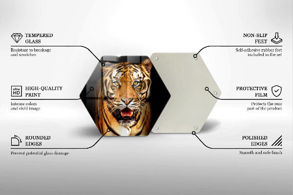 Tábua corte Tigre animal selvagem