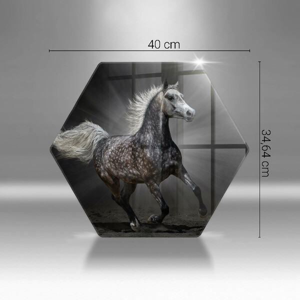 Tábua corte Um cavalo galopando