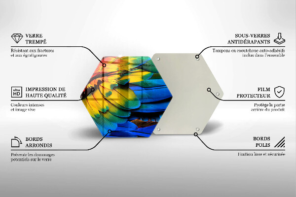 Tábua de corte Penas coloridas de papagaio