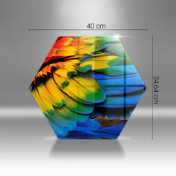 Tábua de corte Penas coloridas de papagaio