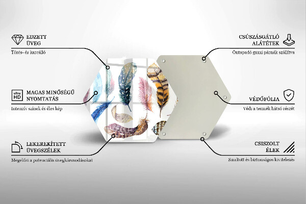 Tábua corte Penas coloridas de pássaros