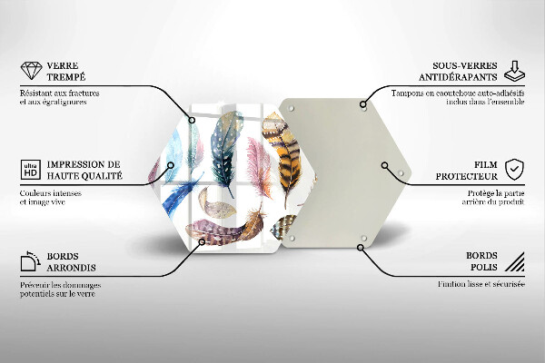 Tábua corte Penas coloridas de pássaros