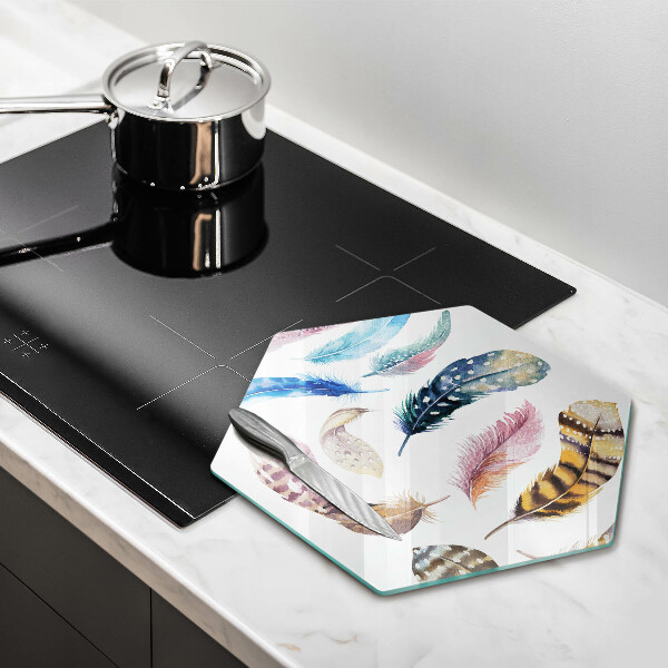 Tábua corte Penas coloridas de pássaros