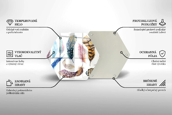 Tábua corte Penas coloridas de pássaros
