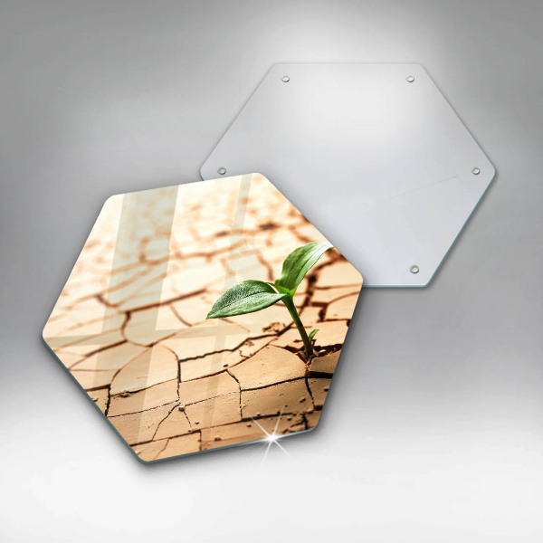 Tábua para corte Uma planta solitária